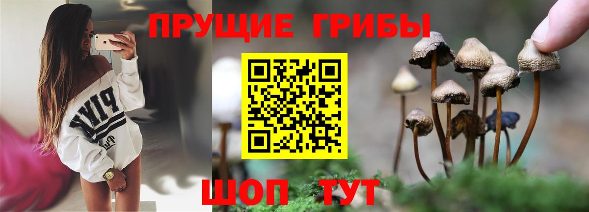 Галлюциногенные грибы Psilocybine cubensis  Галлюциногенные грибы Psilocybine cubensis  как найти   Кимры  Вход с VPN 